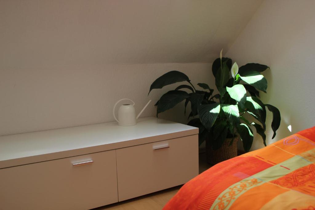 Stella Apartments Am Erfurter Dom Habitación foto